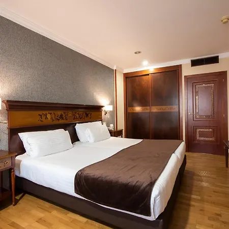 欧洲之星阿拉瓜尼酒店 酒店