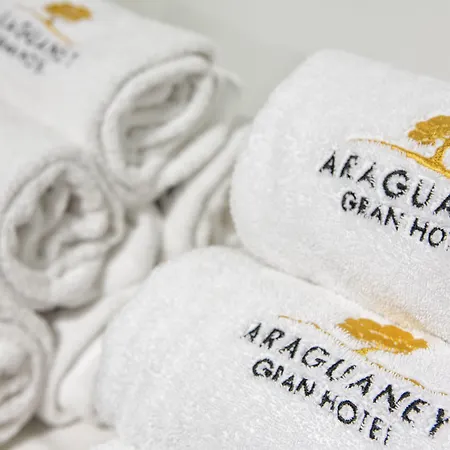 酒店 欧洲之星阿拉瓜尼酒店 圣地亚哥－德孔波斯特拉